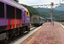 Acı Soslar: Metabolizma Hızlandırıcı ve Şifalı Etkileri Acı Soslar: Metabolizma Hızlandırıcı ve Şifalı Etkileri