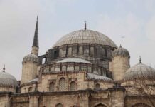 Adaçayı: Hafızayı Güçlendiren Şifalı Ot Adaçayı: Hafızayı Güçlendiren Şifalı Ot