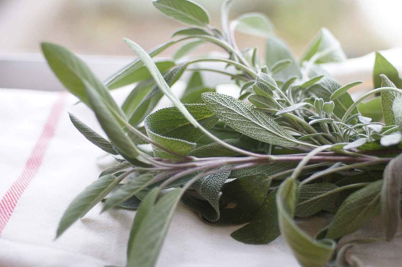 Panch Phoron'un Kullanım Alanları
