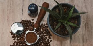 Taze Kekik Nedir? Faydaları ve Kullanım Alanları Hakkında Bilgi