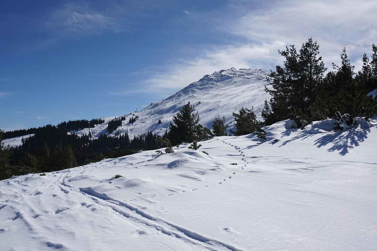 Rezene Tohumunun Faydaları