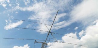 Susam Yağı: Kalp Sağlığını Destekleyen Doğal Yağ Susam Yağı: Kalp Sağlığını Destekleyen Doğal Yağ