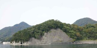 Süt: Kemik Sağlığını Destekleyen Doğal Besin Süt: Kemik Sağlığını Destekleyen Doğal Besin