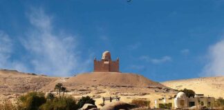 Tarçın: Kan Şekerini Düzenleyen Lezzetli Baharat Tarçın: Kan Şekerini Düzenleyen Lezzetli Baharat