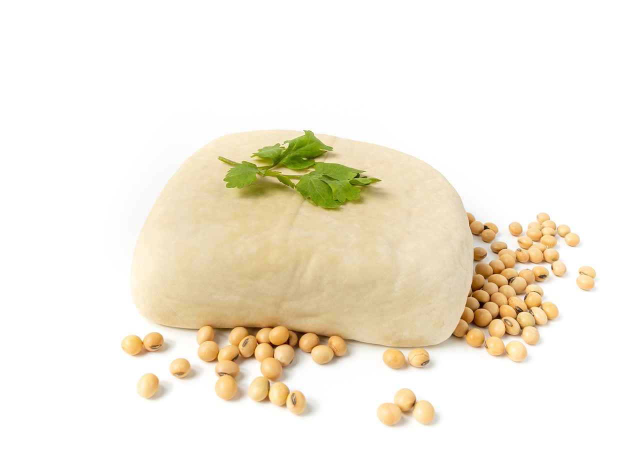 Tofu Nedir?