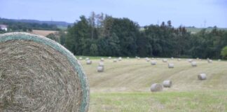 Tuz: Hayati Bir Minerali Doğru Kullanmanın Yolları Tuz: Hayati Bir Minerali Doğru Kullanmanın Yolları
