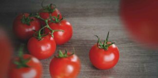 Yaban Mersini Suyu: Antioksidan Zengini ve Yaşlanmayı Geciktiren Yaban Mersini Suyu: Antioksidan Zengini ve Yaşlanmayı Geciktiren