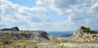 Yosun: Mineral Zengini ve Bağışıklık Güçlendirici Yosun: Mineral Zengini ve Bağışıklık Güçlendirici