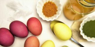 Zerdeçal: Doğanın Altın Mucizesi ve Şifalı Etkileri Zerdeçal: Doğanın Altın Mucizesi ve Şifalı Etkileri