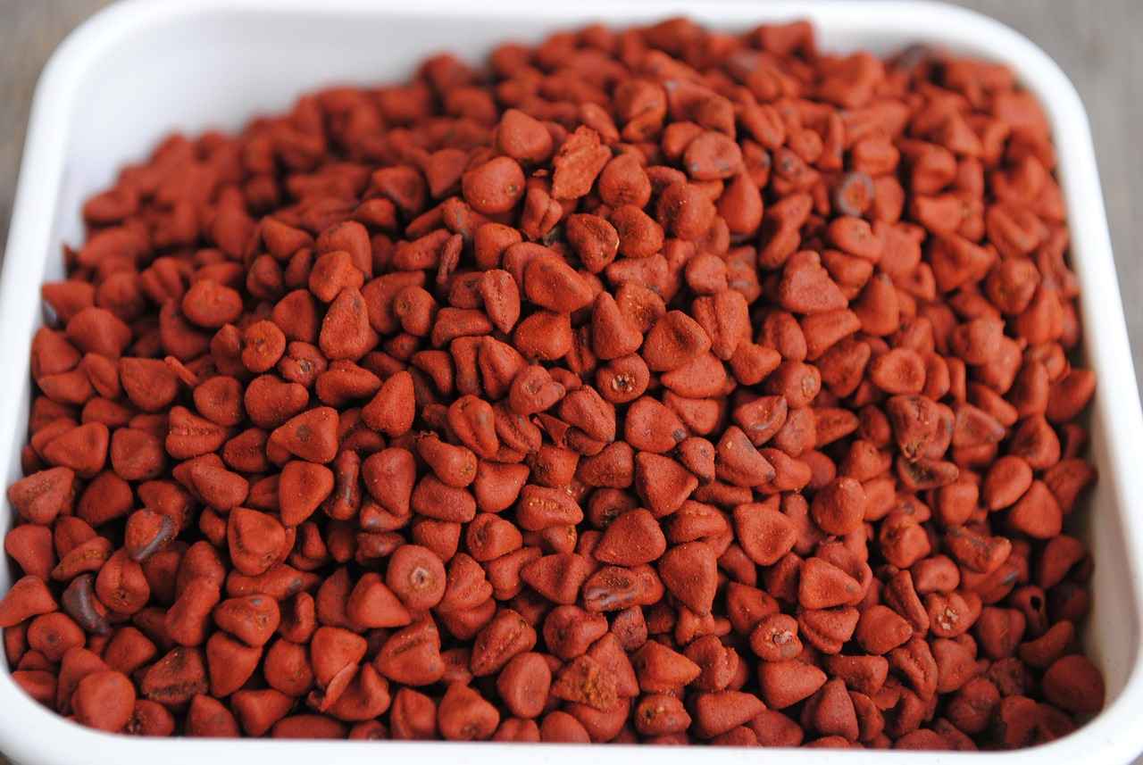 Achiote'nin Kullanım Alanları