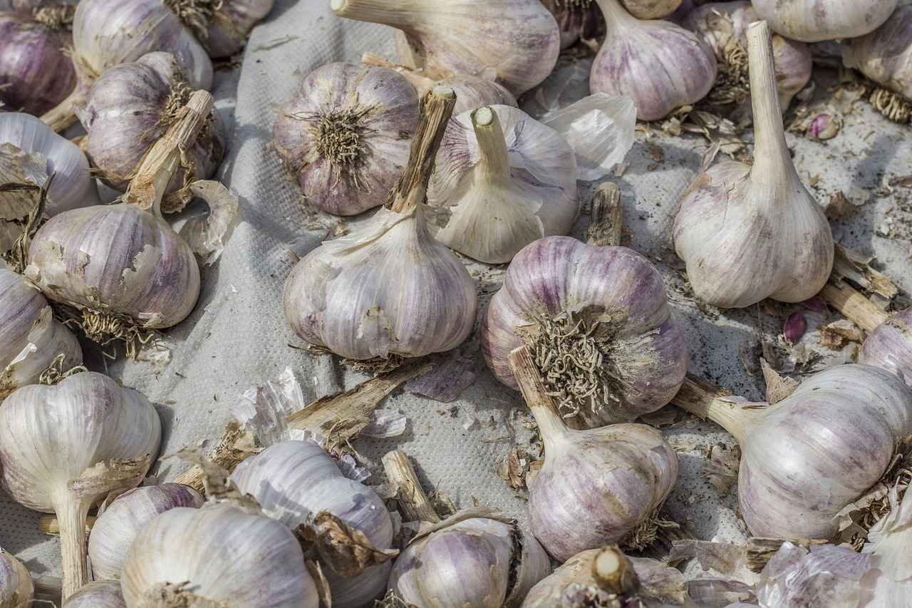 Berberenin Sağlık Faydaları