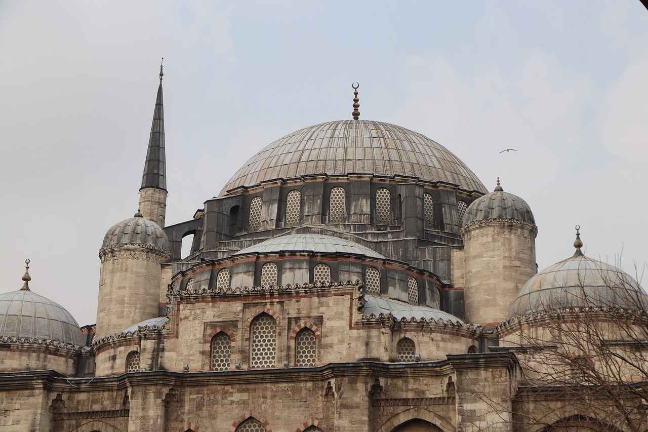 Biberiye Nasıl Kullanılır?