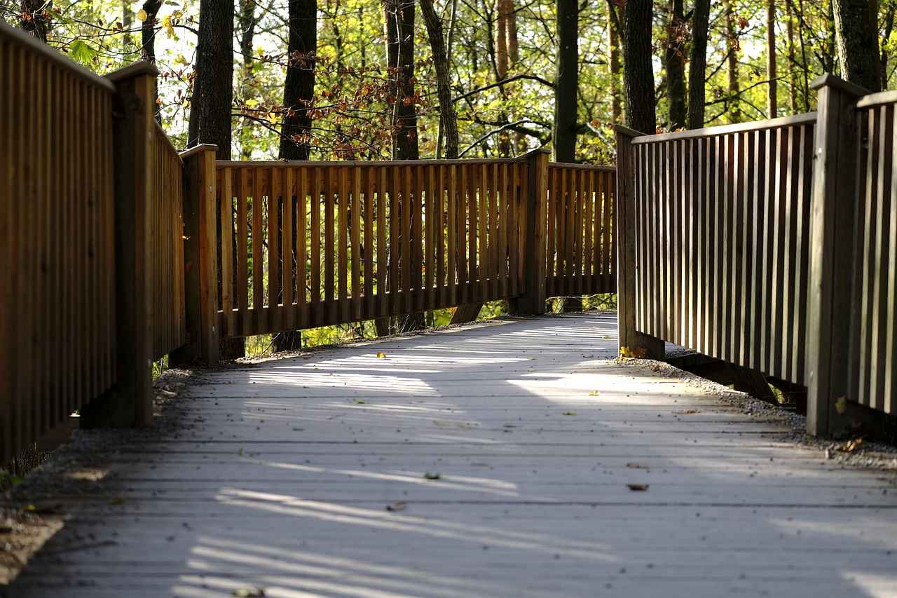 Defne Yaprağının Besin Değeri