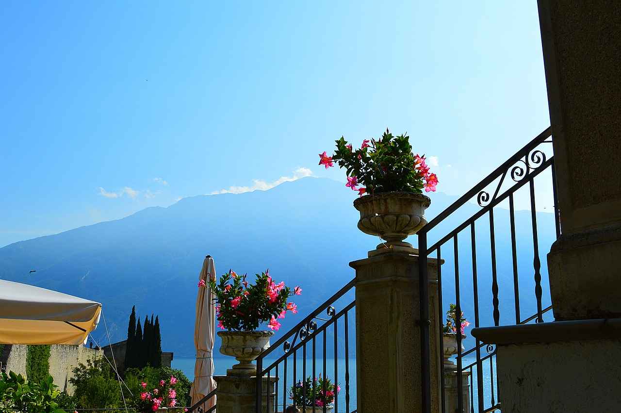 Limon Kabuğu Nedir?