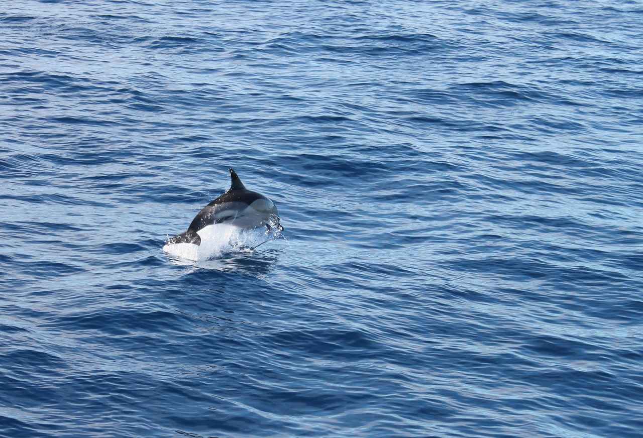 Nar Pekmezi Alırken Dikkat Edilmesi Gerekenler