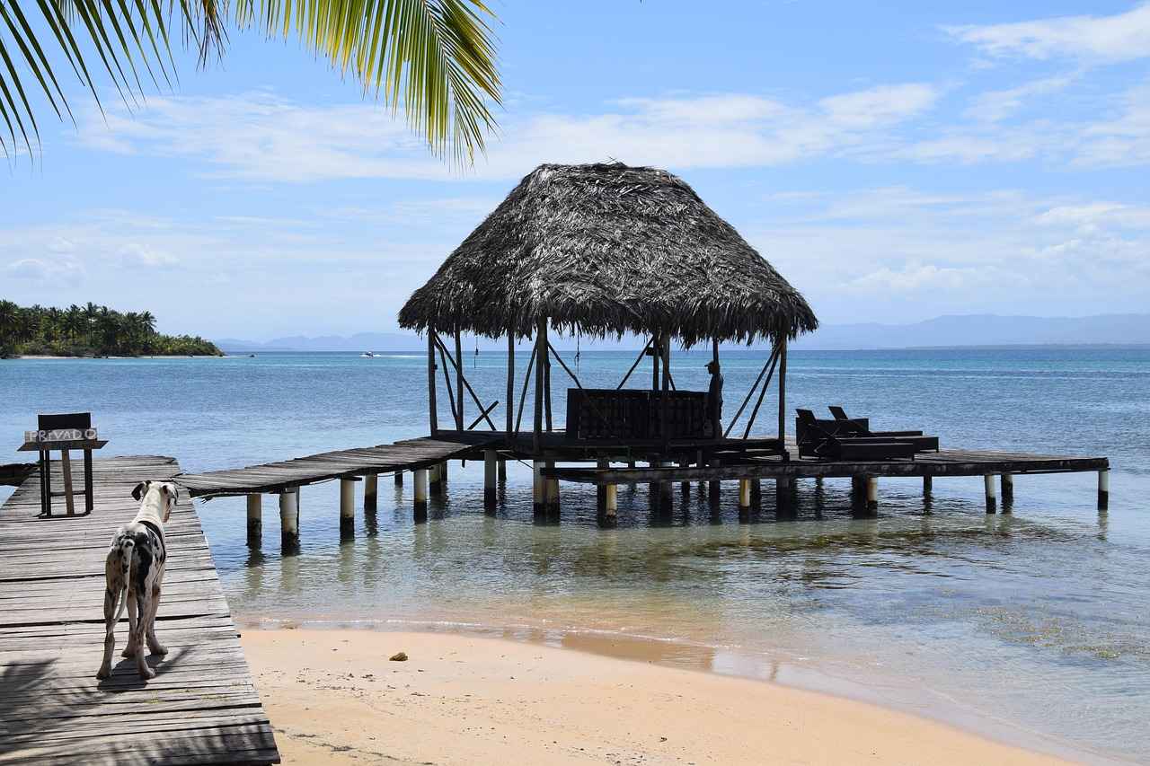 Sirkenin Sindirim Sağlığına Faydaları