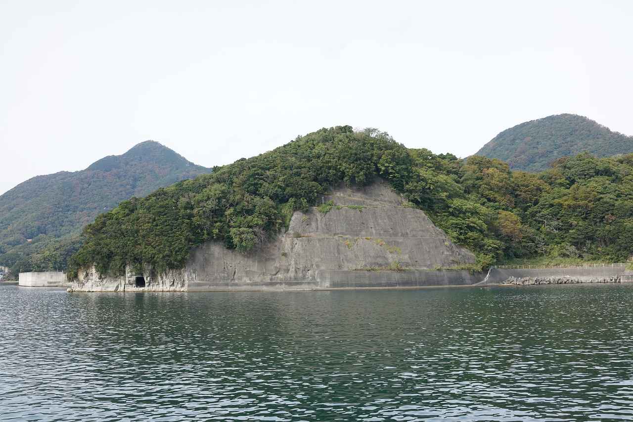 Sütün Faydaları ve Tüketim Önerileri