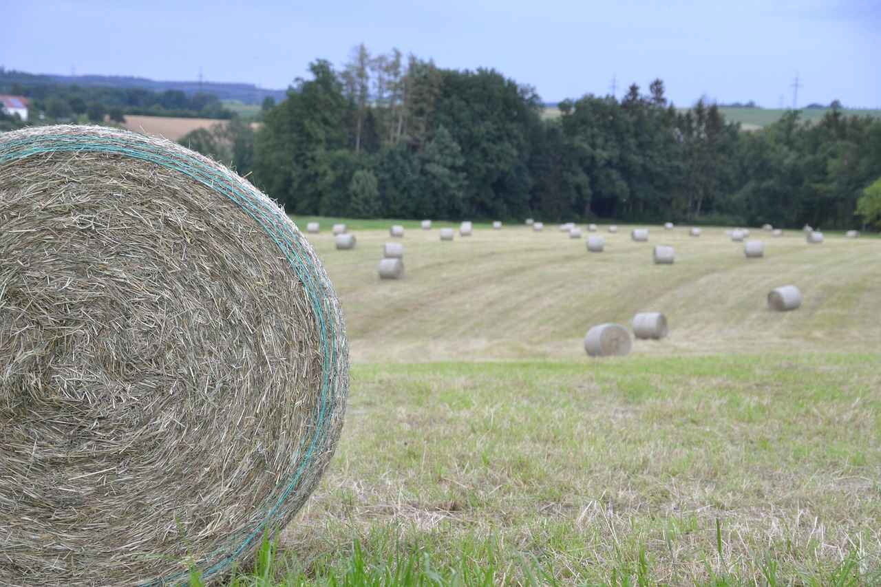 Tuz: Hayati Bir Minerali Doğru Kullanmanın Yolları