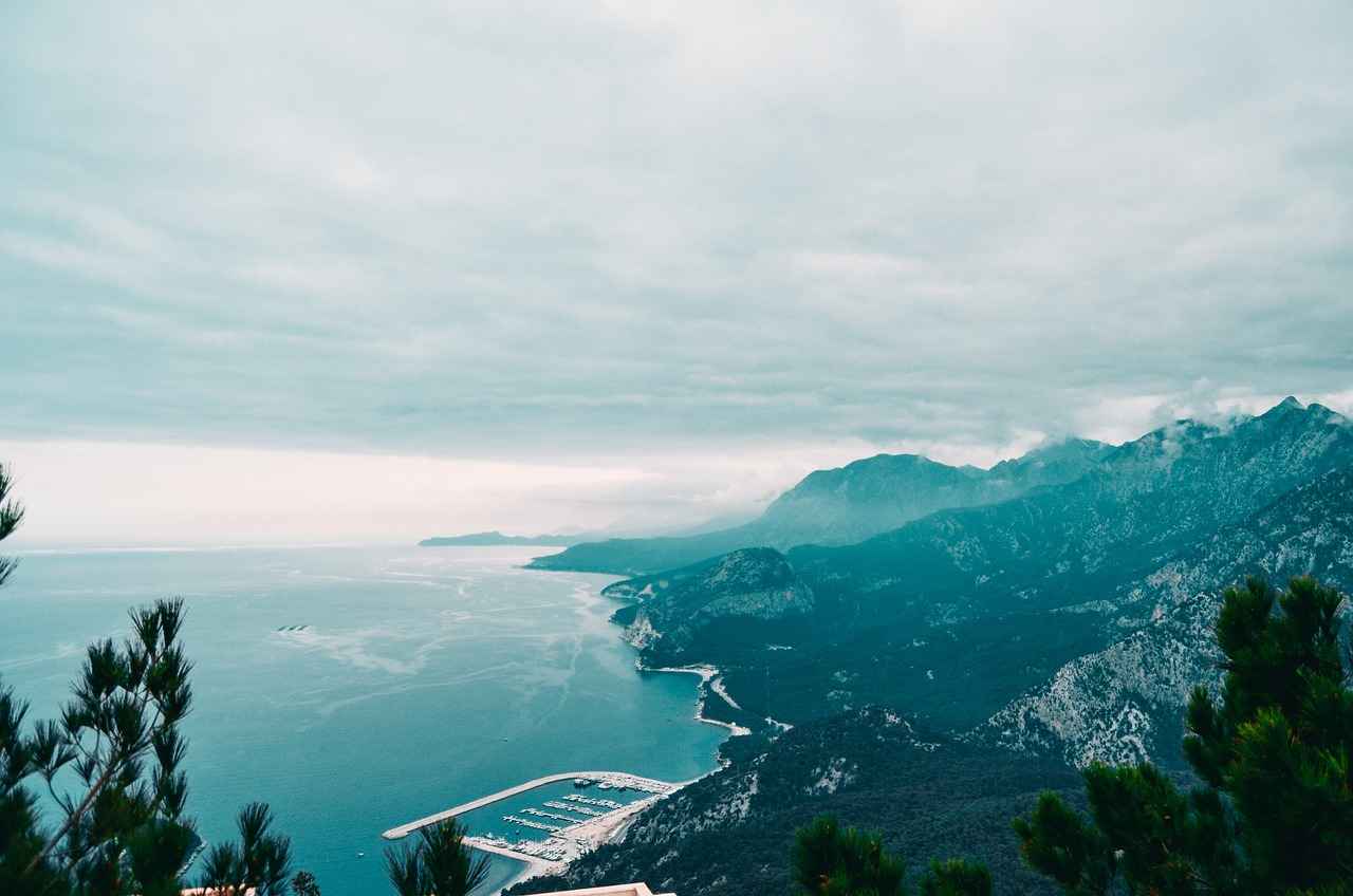 Yosunun Besin Değeri