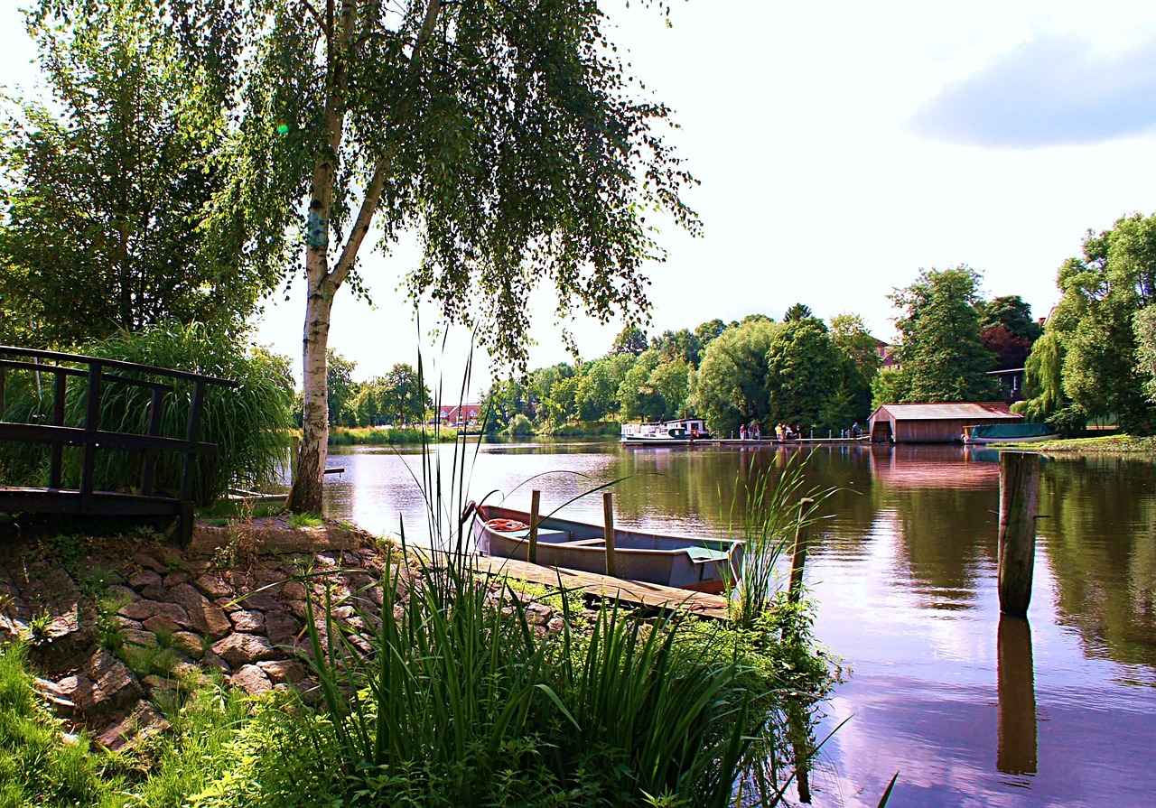 Yosunun Sağlık Faydaları