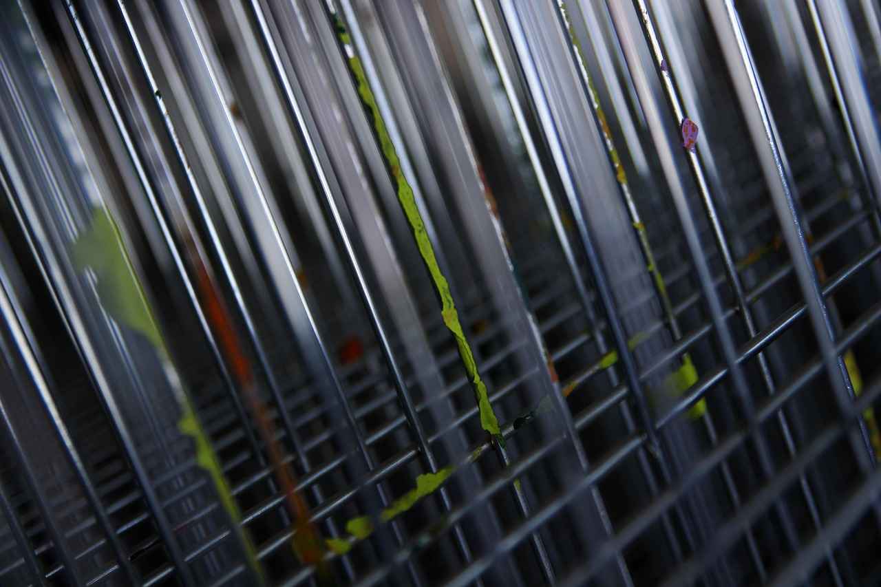 Zencefilin Kullanım Alanları